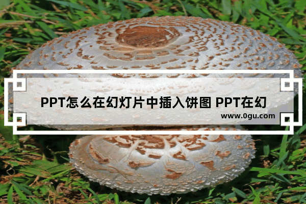 PPT怎么在幻灯片中插入饼图 PPT在幻灯片中插入饼图的方法