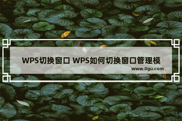 WPS切换窗口 WPS如何切换窗口管理模式？