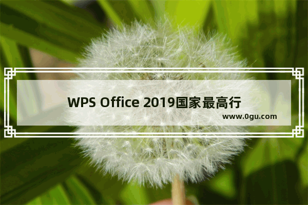 WPS Office 2019国家最高行政版本【无广告】