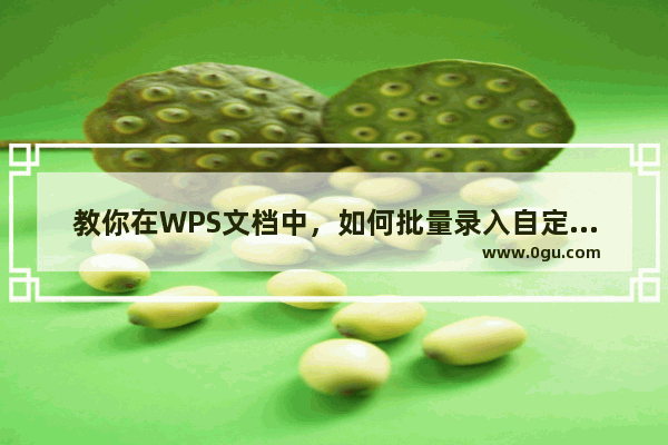 教你在WPS文档中，如何批量录入自定义编号