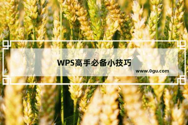 WPS高手必备小技巧