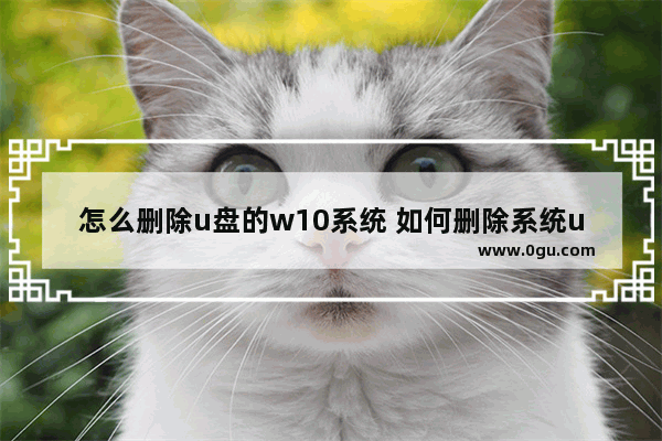 怎么删除u盘的w10系统 如何删除系统u盘