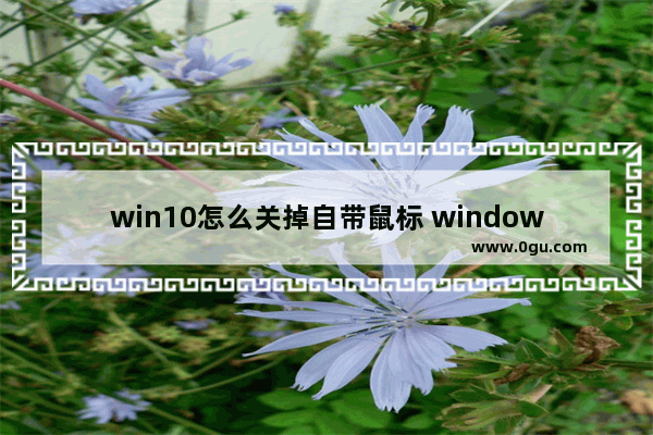 win10怎么关掉自带鼠标 window10怎么关闭鼠标手势