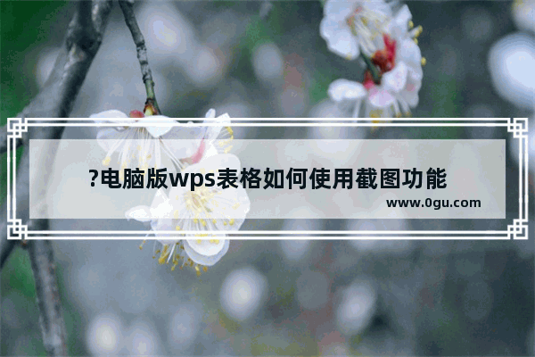 ?电脑版wps表格如何使用截图功能