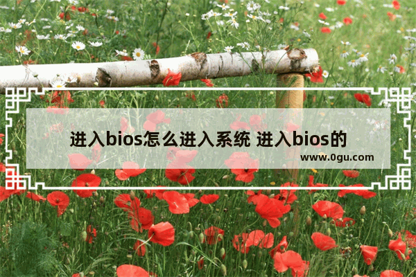 进入bios怎么进入系统 进入bios的办法