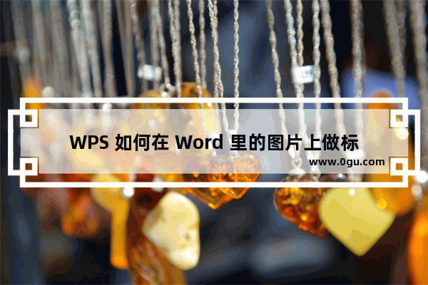 WPS 如何在 Word 里的图片上做标注