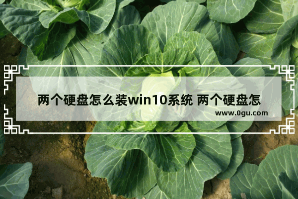 两个硬盘怎么装win10系统 两个硬盘怎样装系统