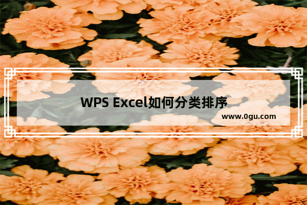 WPS Excel如何分类排序