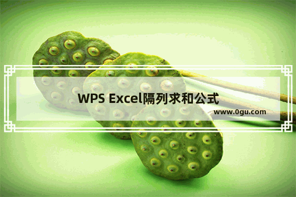 WPS Excel隔列求和公式