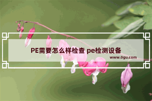 PE需要怎么样检查 pe检测设备