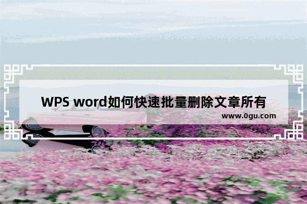 WPS word如何快速批量删除文章所有空行