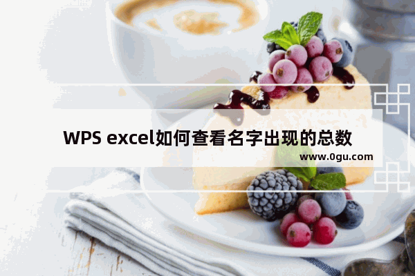 WPS excel如何查看名字出现的总数