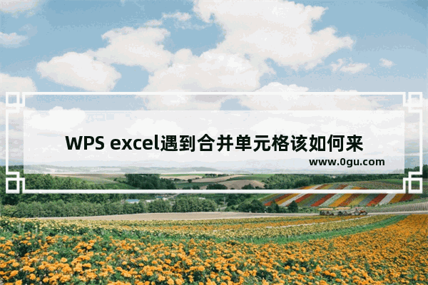 WPS excel遇到合并单元格该如何来排序？