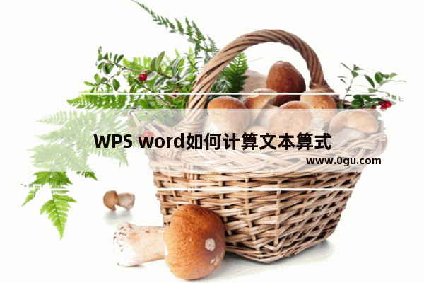 WPS word如何计算文本算式