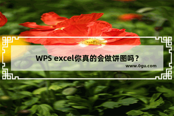 WPS excel你真的会做饼图吗？