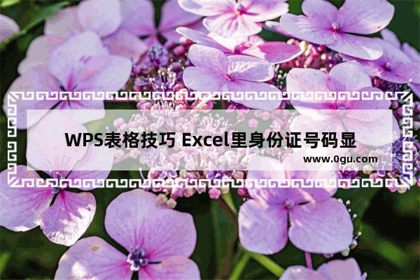 WPS表格技巧 Excel里身份证号码显示不全的多种解决办法