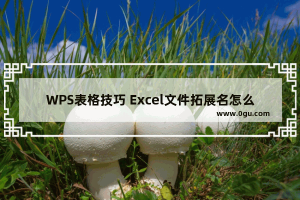 WPS表格技巧 Excel文件拓展名怎么显示