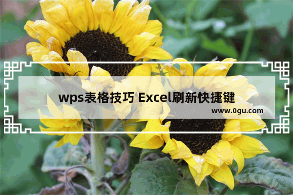 wps表格技巧 Excel刷新快捷键