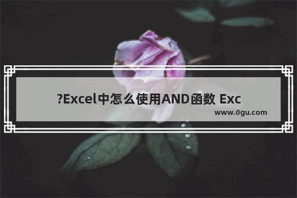 ?Excel中怎么使用AND函数 Excel表格中使用and函数的方法教程