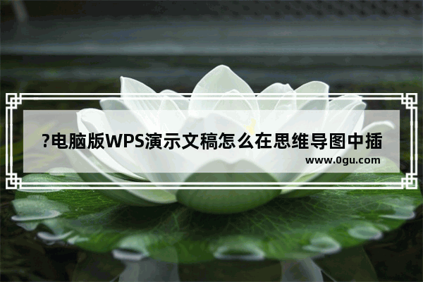 ?电脑版WPS演示文稿怎么在思维导图中插入图片