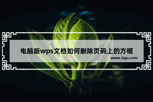 电脑版wps文档如何删除页码上的方框