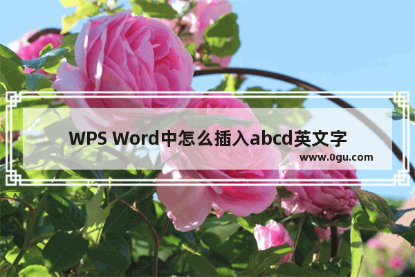 WPS Word中怎么插入abcd英文字母页码 WPS Word插入abcd英文字母页码的方法