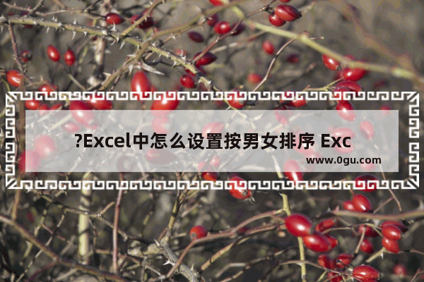 ?Excel中怎么设置按男女排序 Excel表格中按照性别男女排序的方法教程