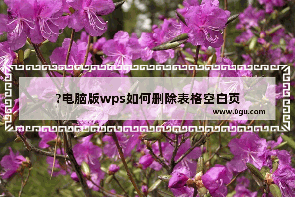 ?电脑版wps如何删除表格空白页