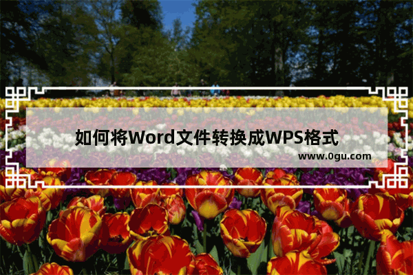 如何将Word文件转换成WPS格式