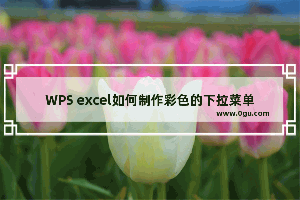 WPS excel如何制作彩色的下拉菜单