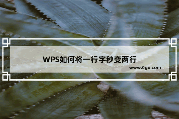 WPS如何将一行字秒变两行