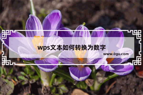 wps文本如何转换为数字