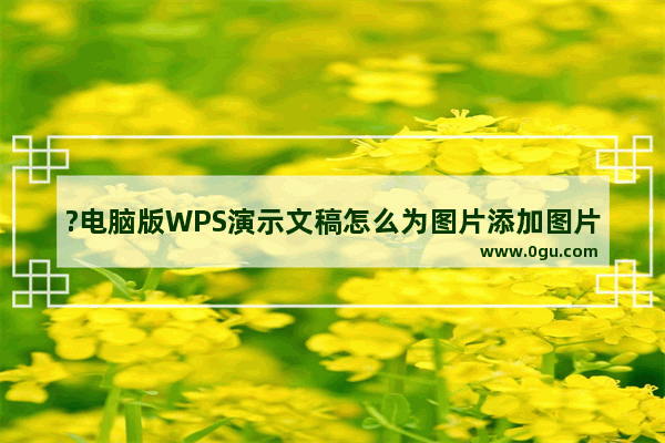 ?电脑版WPS演示文稿怎么为图片添加图片边框