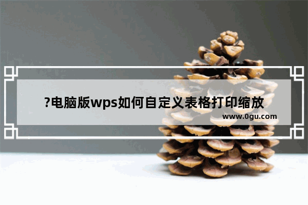 ?电脑版wps如何自定义表格打印缩放