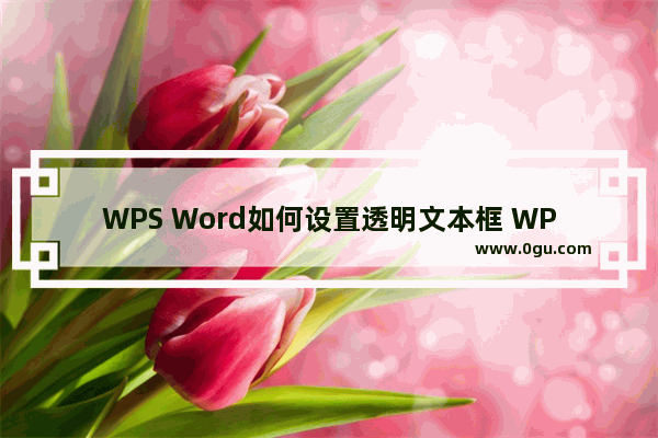 WPS Word如何设置透明文本框 WPS Word设置透明文本框的方法