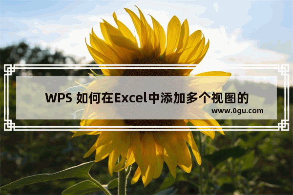 WPS 如何在Excel中添加多个视图的方法