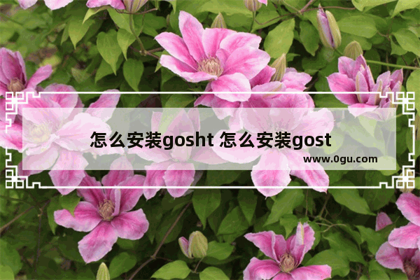 怎么安装gosht 怎么安装gost