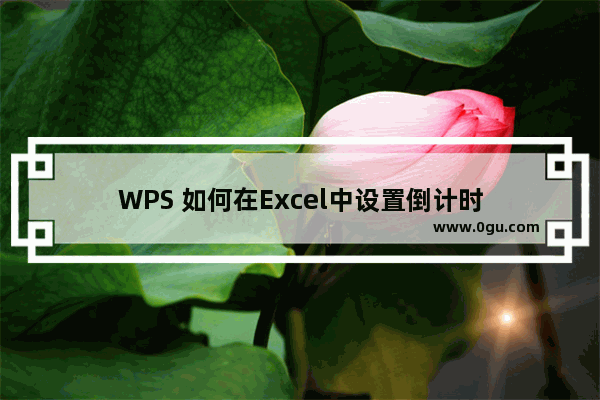 WPS 如何在Excel中设置倒计时