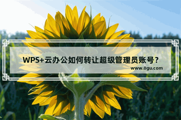 WPS+云办公如何转让超级管理员账号？