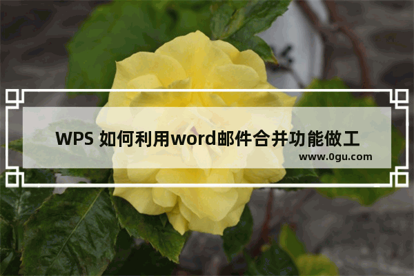 WPS 如何利用word邮件合并功能做工资条