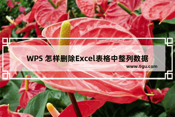 WPS 怎样删除Excel表格中整列数据的单位