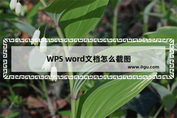 WPS word文档怎么截图