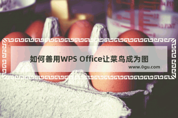 如何善用WPS Office让菜鸟成为图片大师