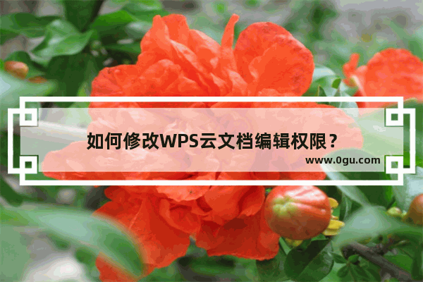 如何修改WPS云文档编辑权限？