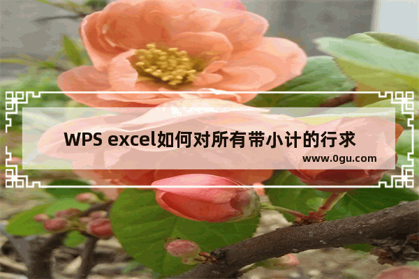 WPS excel如何对所有带小计的行求和