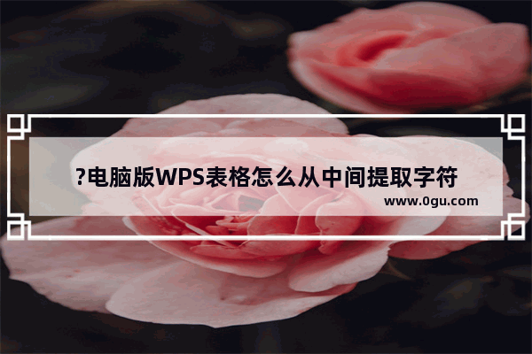 ?电脑版WPS表格怎么从中间提取字符