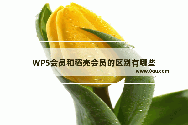 WPS会员和稻壳会员的区别有哪些