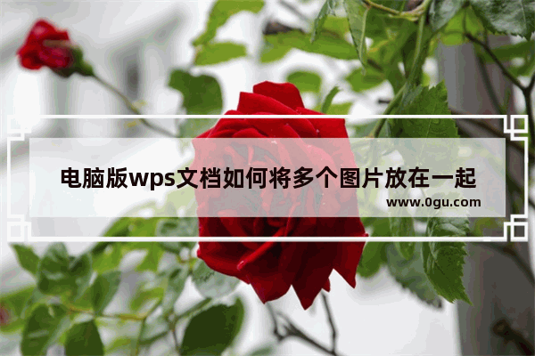 电脑版wps文档如何将多个图片放在一起