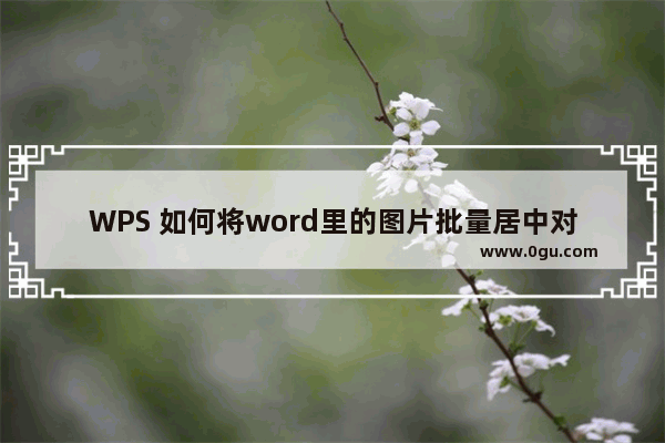 WPS 如何将word里的图片批量居中对齐