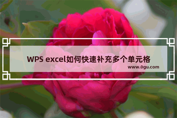 WPS excel如何快速补充多个单元格数据